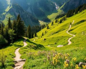 Hiken als ontspannende lichaamsbeweging