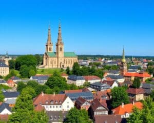 Uppsala: Zweedse wetenschap en geschiedenis