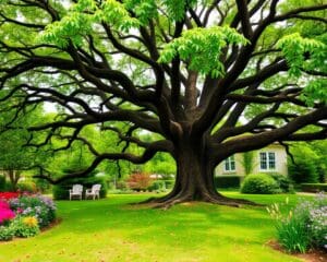 Welke voordelen biedt een eikenboom in de tuin?