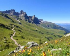 Beste hikinglocaties voor een actieve vakantie