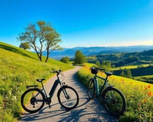 Elektrische fietsen voor comfortabele lange ritten