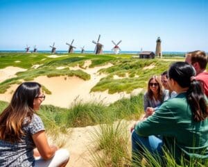 Personeelsuitje Texel: ontdek het eilandgevoel samen