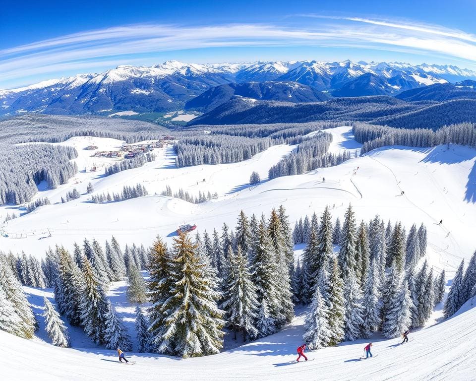 Schladming: Oostenrijkse pistes voor alle niveaus