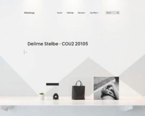 Webshop laten maken voor starters en groeiers