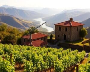 Genieten van rust, ruimte en wijn in de Dourovallei