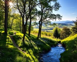 De mooiste plekken voor een wandeling