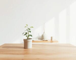 Hoe maak je van minimalisme een levensfilosofie?