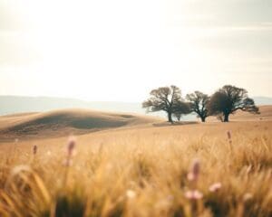 Welke tinten werken verzachtend bij zonlicht?