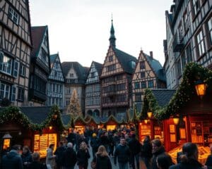 Hoe beleef je de kerstmarkten van Straatsburg?