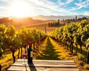 Waarom kiezen reizigers voor de wijngaarden van Toscane?