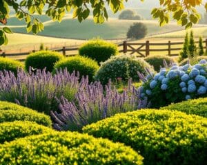 heggen landelijke tuin
