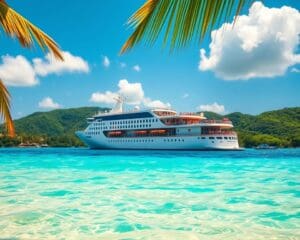 cruise