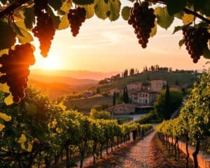 rondreis Toscane